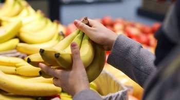 Цены на бананы в магазинах России побили пятилетний рекорд