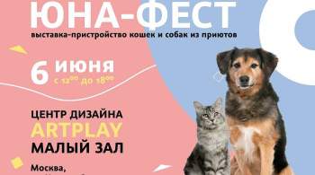 В Москве пройдет благотворительная выставка-пристройство животных