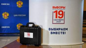 ЦИК заявил о корректности итогов онлайн-голосования на выборах в Госдуму
