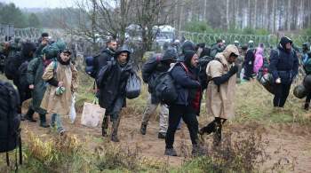 На границе Польши и Белоруссии находятся до четырех тысяч мигрантов