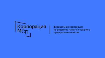 Нижегородский МСБ привлек 150 льготных займов по программе КМСП и региона