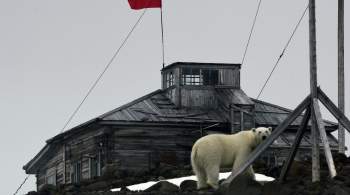 На очистку Арктики может уйти до шести лет, заявила глава Росприроднадзора