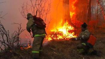 В России зафиксировали 112 очагов лесных пожаров