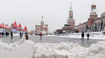 Вильфанд предупредил москвичей о снегопаде