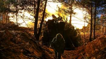 Потери Киева на Южнодонецком направлении составили 110 военных 