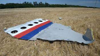 Нидерланды не использовали российские материалы по MH17, заявил Виноградов