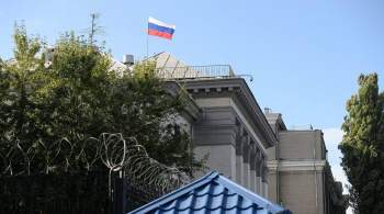 Украинцы устроили скандал у посольства России в день выборов в Госдуму