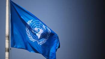 Российский дипломат выступила за расширение числа кураторов досье в СБ ООН
