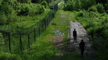 В Минске оценили ситуацию с нелегальными мигрантами на границе