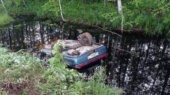 В Томской области пять человек погибли из-за падения машины в яму с водой