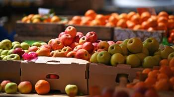 Молдавия заинтересована в снятии запрета на экспорт фруктов в Россию