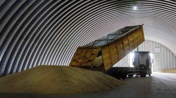 Россия обновила рекорд по экспорту зерна 