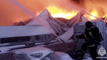 В Петербурге проверят состояние воздуха после крупного пожара на складе 
