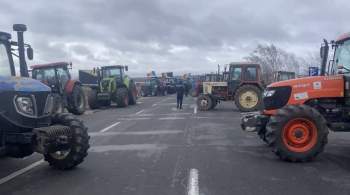 Молдавские фермеры разблокировали дорогу на границе с Румынией 