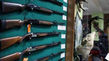 Совфед одобрил закон о максимальном числе единиц оружия в собственности
