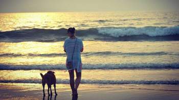 Кинолог рассказал, каких собак можно брать с собой на пляж