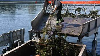 Около 600 тонн мусора собрал коммунальный флот с водной акватории Москвы
