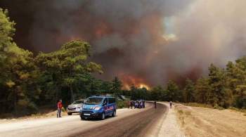 В Турции в районе Бодрума отель эвакуировали из-за лесного пожара