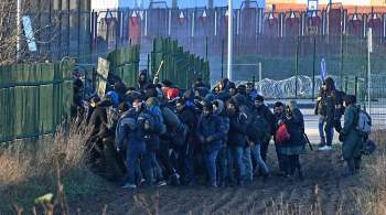 Группа нелегальных мигрантов прорвалась на территорию Польши из Белоруссии