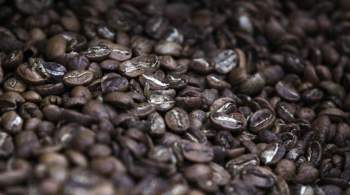 В Индонезии выразили желание нарастить поставки кофе в Россию