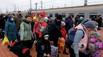 Волонтеры из Севастополя разбили полевой лагерь на границе с ДНР