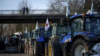 Власти Франции усилят меры безопасности в Париже из-за угроз фермеров 