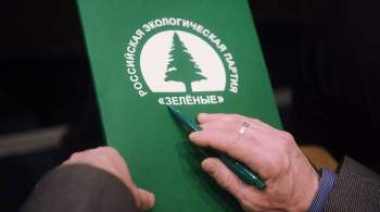 ЦИК выявил недостатки в документах 28 кандидатов партии  Зеленые 