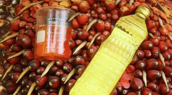 Диетолог объяснила, как определить пальмовое масло в продуктах
