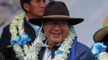 Глава МИД Боливии высказался о выборах президента страны