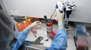 Названы сроки начала клинических испытаний новой вакцины от коронавируса