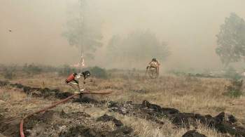 В Челябинской области локализовали почти все очаги природных пожаров