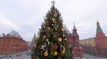 Главная новогодняя ель России
