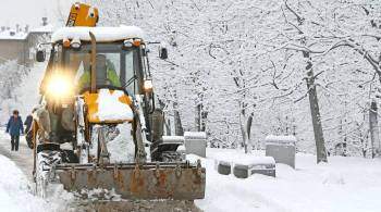 В Тамбове обстреляли трактор, убиравший снег