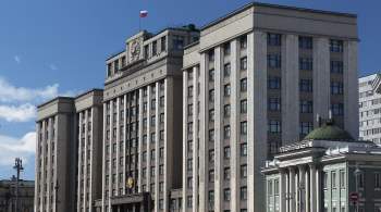 В Госдуме призвали запретить термин  чайлдфри  в России