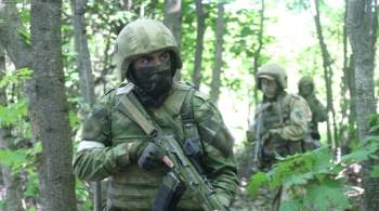 Росгвардия нашла в Харьковской области схроны с оружием и боеприпасами