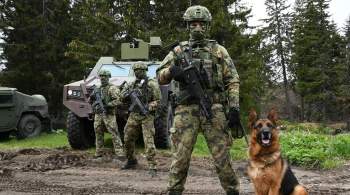 США призвали Сербию отвести вооруженные силы от границы с Косово