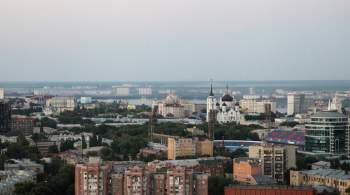 В Воронежской области поддержат импортозамещение
