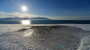 США хотят получить свободный доступ к ресурсам Арктики, заявили в Совбезе