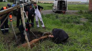 В Белгородской области сотрудники МЧС спасли пять животных