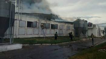 В Челябинской области загорелась птицефабрика