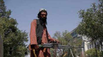 В МИД назвали захват Афганистана талибами закономерным итогом политики США