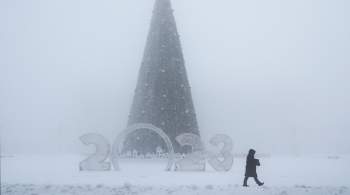 В Якутии школьников переведут на дистант из-за сильных морозов