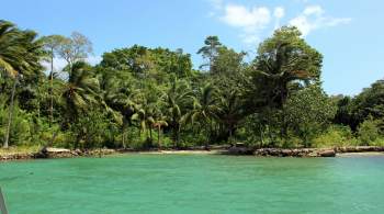 Премьер Австралии: база КНР на Соломоновых островах станет "красной линией"