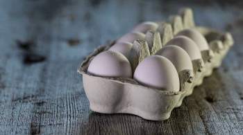 Минсельхоз оценил сообщения о риске дефицита яиц