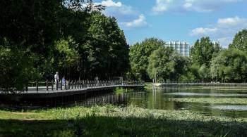 В четырех парках Москвы перед их реабилитацией откроют инфоцентры