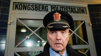 В полиции рассказали о подозреваемом в нападении с луком в Норвегии