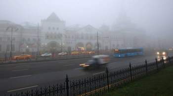 В Москве уровень вредных веществ в воздухе поднялся в два раза