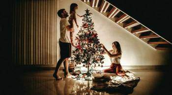 Елка, сосна или пихта: как выбрать новогоднее дерево - советы эксперта