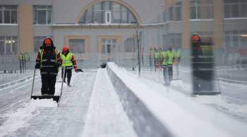 В Москве на дворников, "не поделивших" снег, составили протоколы за драку
