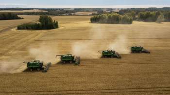 Представители ООН и ЮНКТАД посетят Москву для обсуждения зерновой сделки